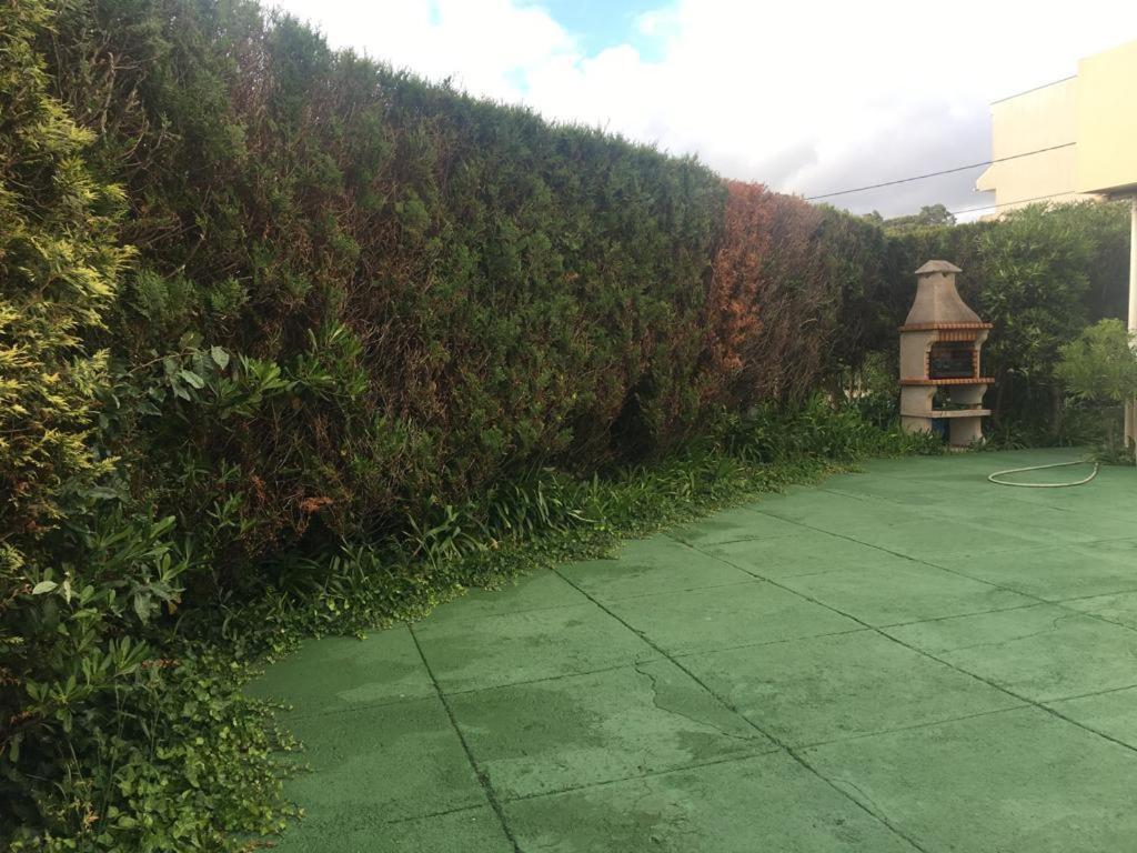 Jardim De Moledo Διαμέρισμα Moledo  Εξωτερικό φωτογραφία